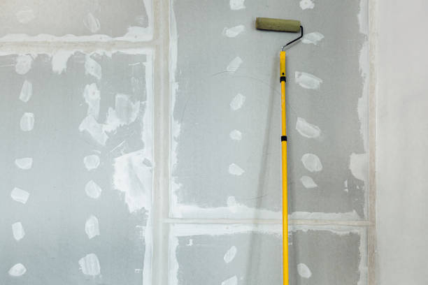 Best Mold Remediation for Healthcare Facilities  in Monticello, GA