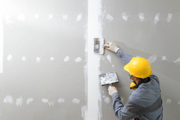 Best Real Estate Mold Inspection  in Monticello, GA