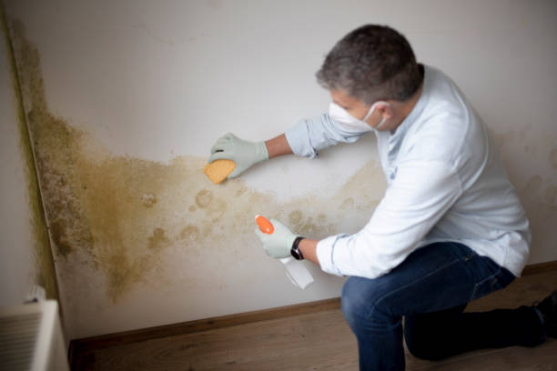Dehumidification Services in Monticello, GA