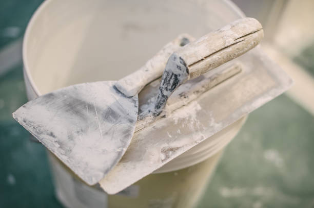 Best Airborne Mold Testing  in Monticello, GA