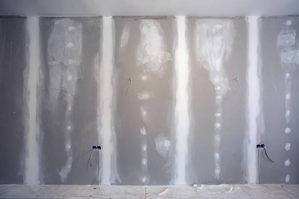 Best Industrial Mold Remediation  in Monticello, GA